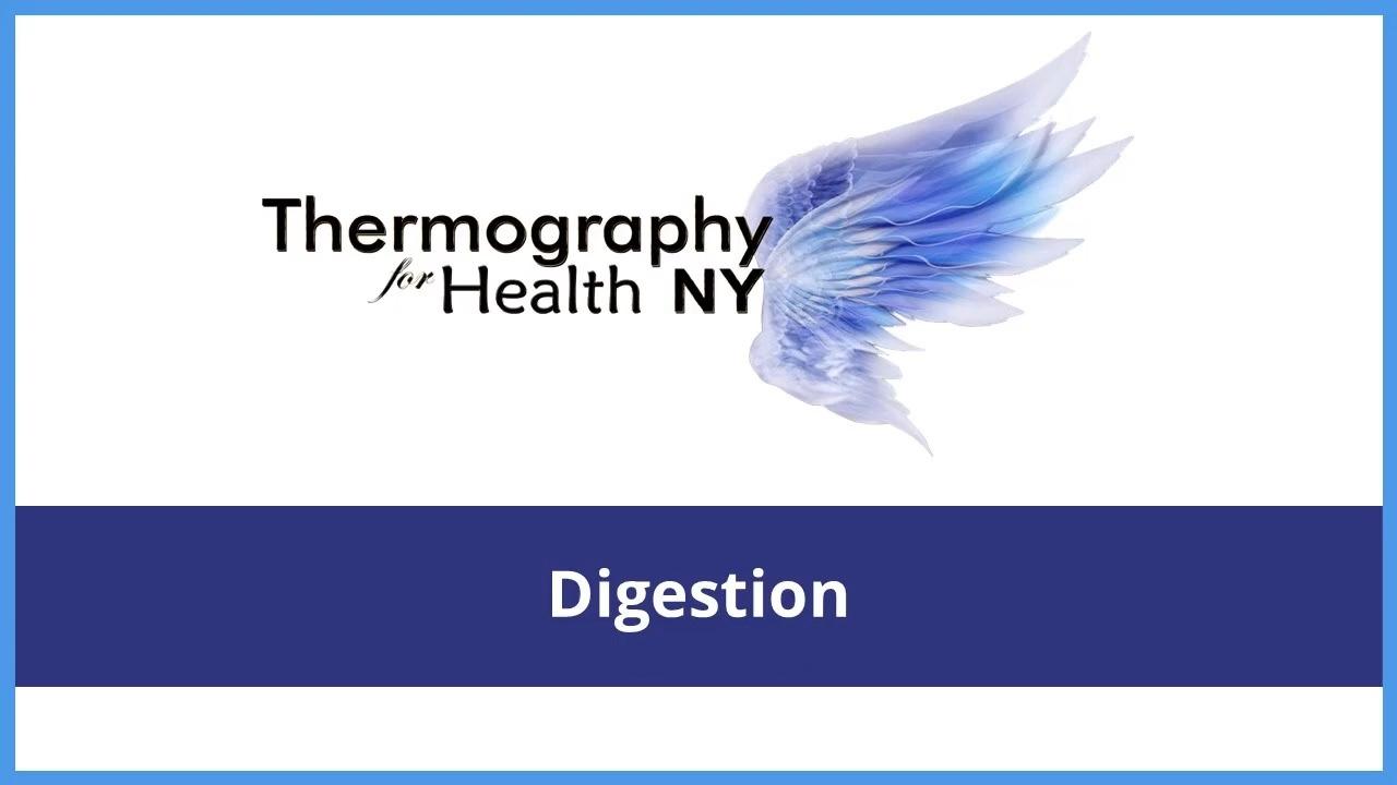 Digestion Thermography Logo
