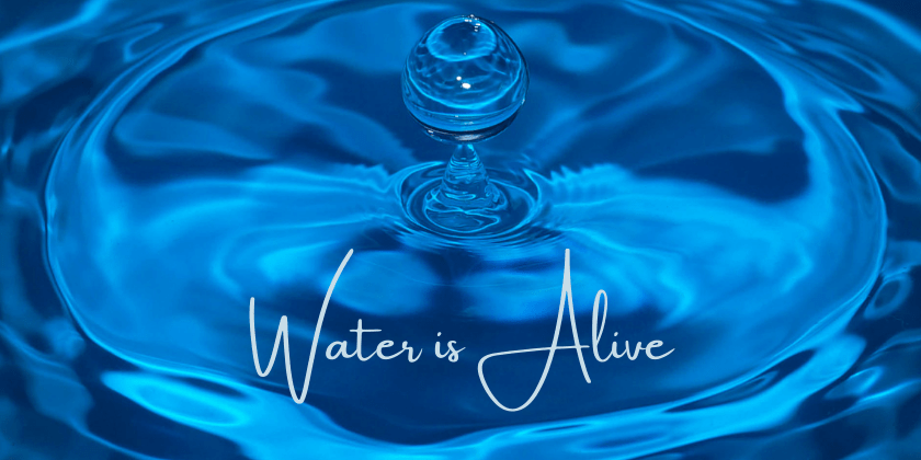 Water is Alive