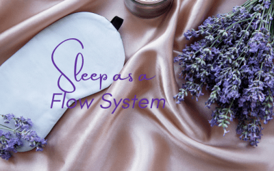 Sleep as a Flow System